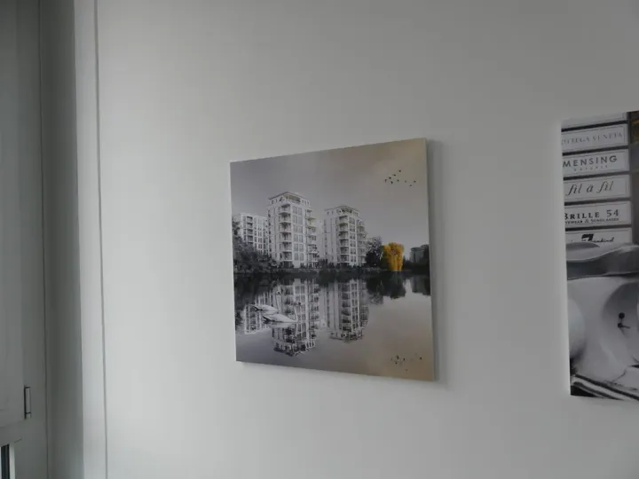 Bild