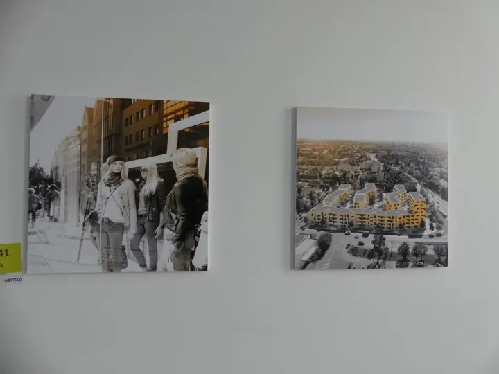 Bild