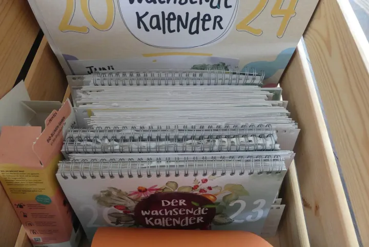 Bild