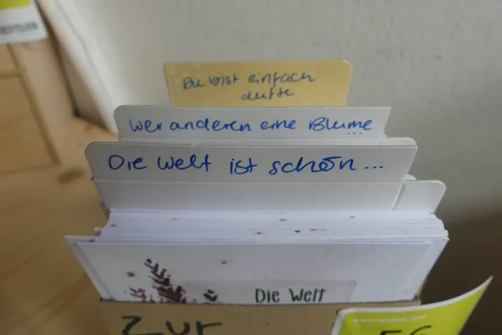 Bild