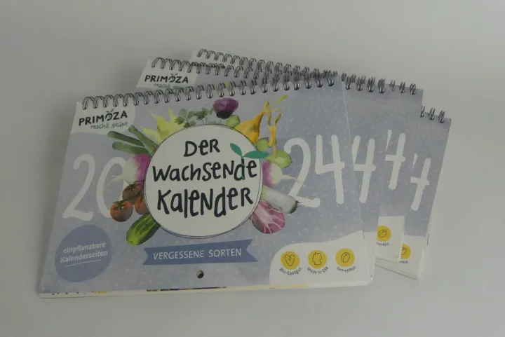 Bild
